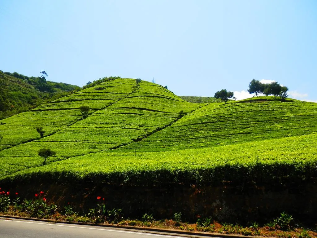 Pensión Hotel Eranga Guest Nuwara Eliya